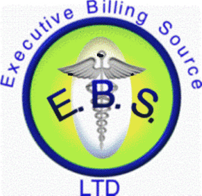 ebs logo2-2-1-1409454170 Executive Billing Source LTD | Support Black Owned